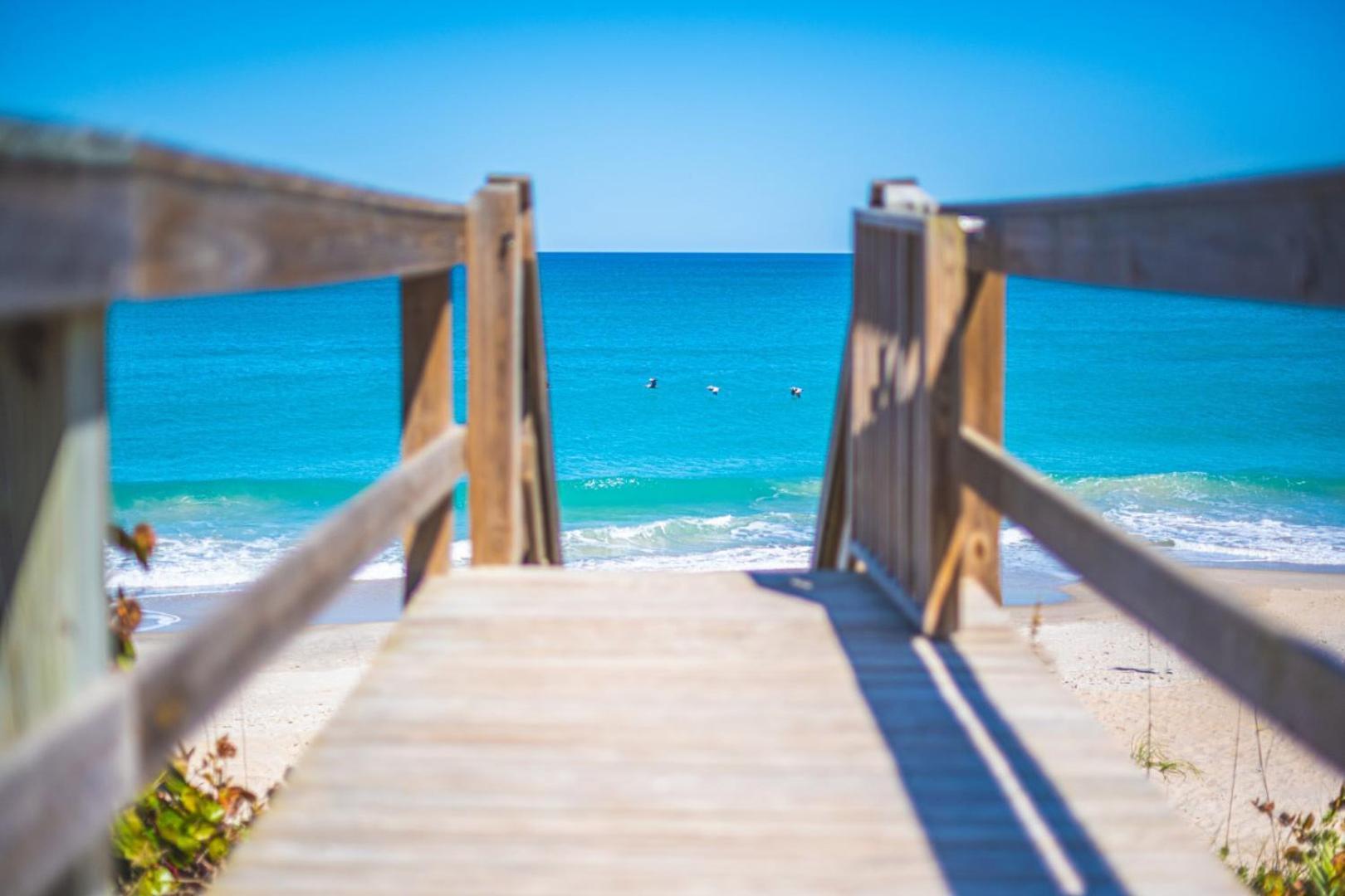 Tranquility Seahorse Suite - Oceanfront Paradise! Melbourne Beach Eksteriør billede
