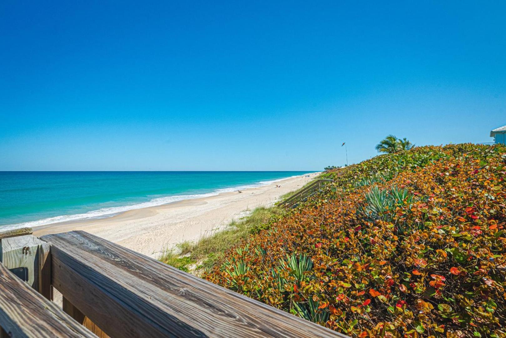 Tranquility Seahorse Suite - Oceanfront Paradise! Melbourne Beach Eksteriør billede